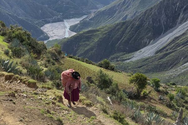 WhatsApp Image 2025-11-13 at 23.03.51 WhatsApp Image 2025-11-13 at 23.03.51