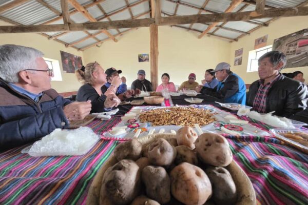 WhatsApp Image 2025-11-13 at 23.07.32 WhatsApp Image 2025-11-13 at 23.07.32